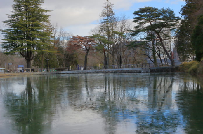 薄氷のはった仙台城跡のお堀「五色沼」