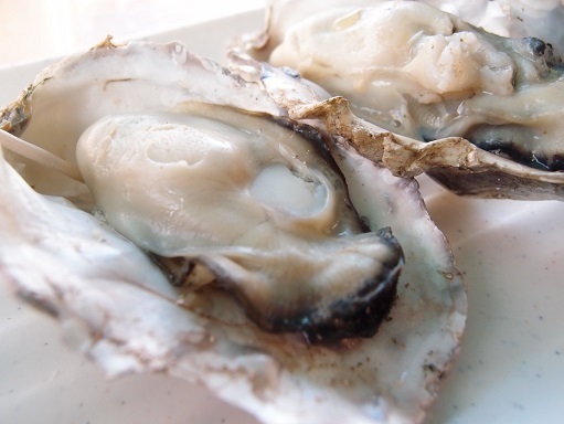 かき殻焼きげんぞう焼き牡蠣