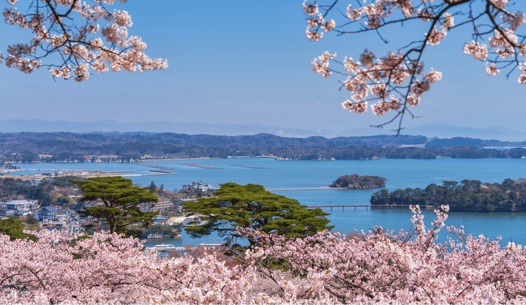 西行戻しの松公園の春の景色