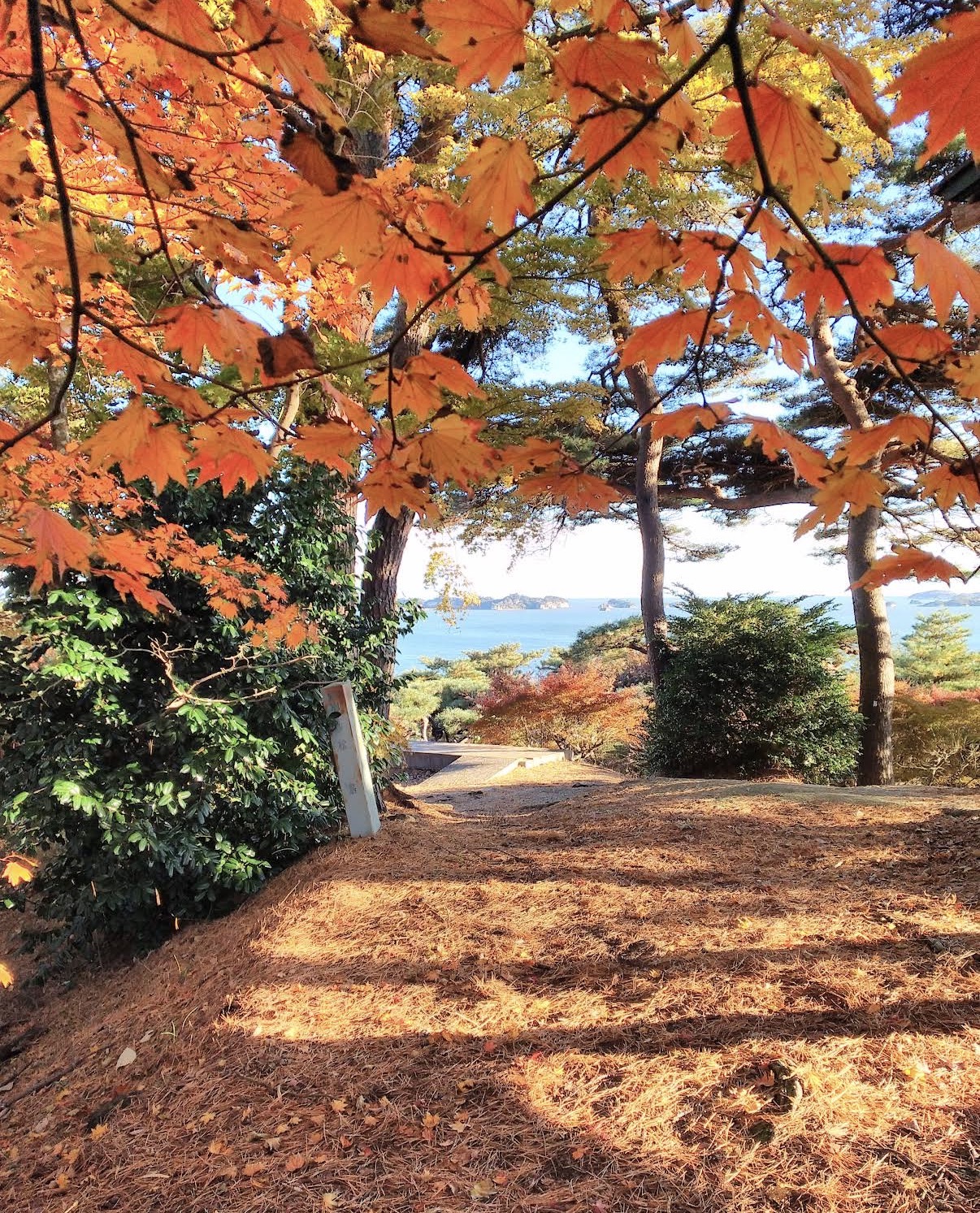 双観山紅葉