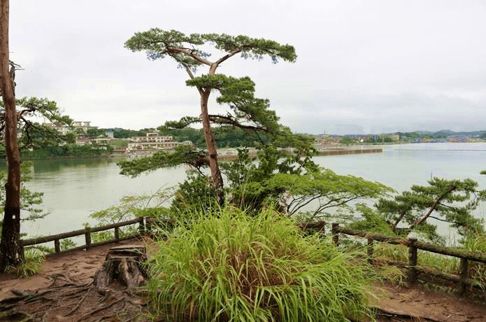 松島福浦島天神崎