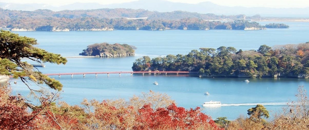 西行戻しの松公園、紅葉と松島湾