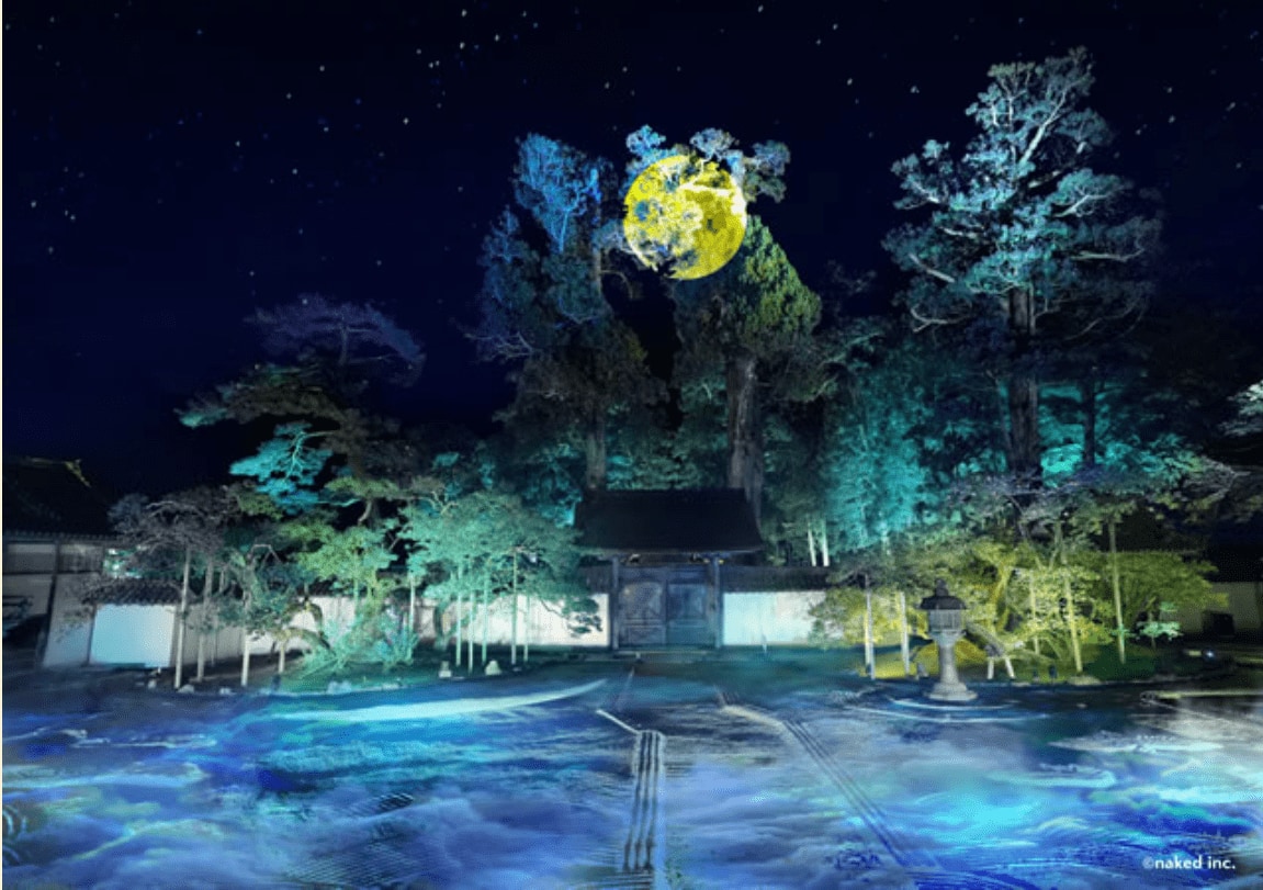 瑞巌寺秋のライトアップ