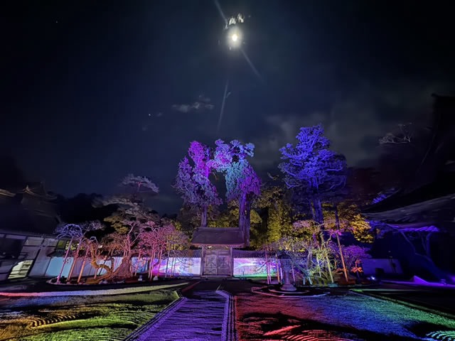 瑞巌寺Nakedの様子